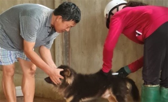 Để không còn ám ảnh bệnh dại và chó thả rông