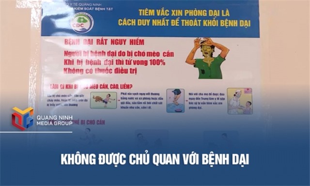 Không được chủ quan với bệnh dại