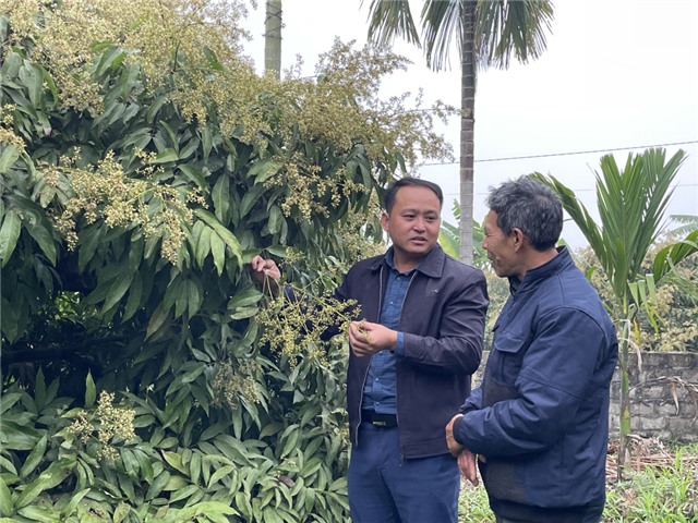 Đòn bẩy từ các kênh dẫn vốn