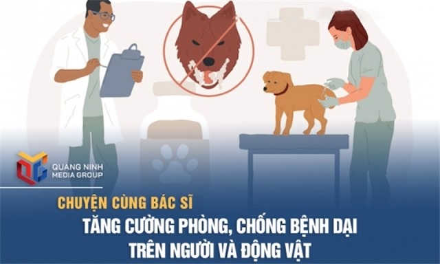 Tăng cường phòng, chống bệnh dại trên người và động vật