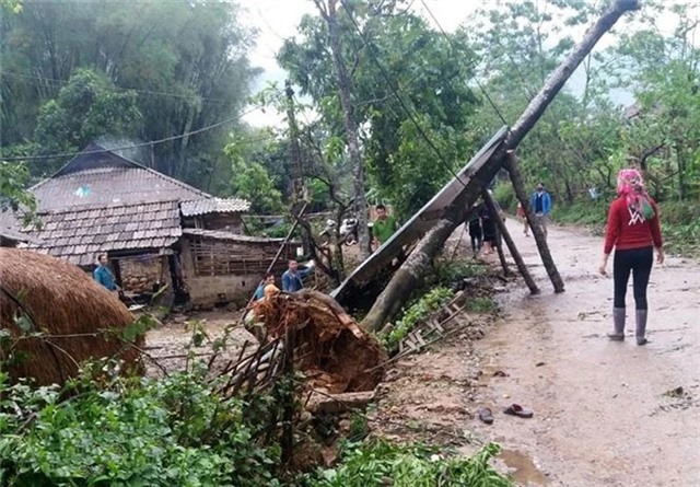 Khẩn trương ứng phó mưa lớn kèm dông lốc, sét, mưa đá và gió giật mạnh