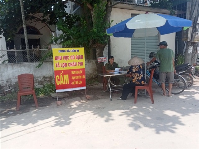 Quảng Yên: Dịch tả lợn châu Phi lan ra xã Liên Vị