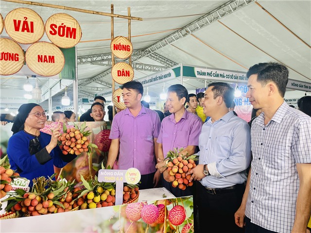 Khai mạc Tuần hàng Việt - Uông Bí năm 2024 gắn với hoạt động Livestream sản phẩm Vải chín sớm Phương Nam