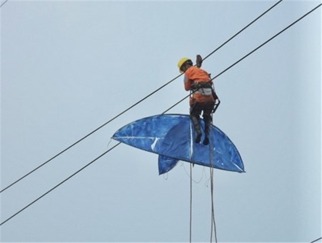 Nghiêm cấm hành vi thả diều và câu cá gần đường dây đường điện