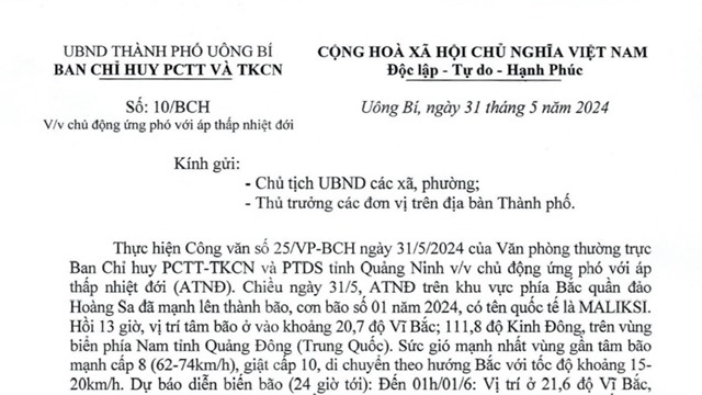 Văn bản chỉ đạo của UBND thành phố về việc chủ động ứng phó với áp thấp nhiệt đới