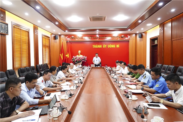 Sơ kết công tác nội chính; phòng, chống tham nhũng và cải cách tư pháp 6 tháng đầu năm