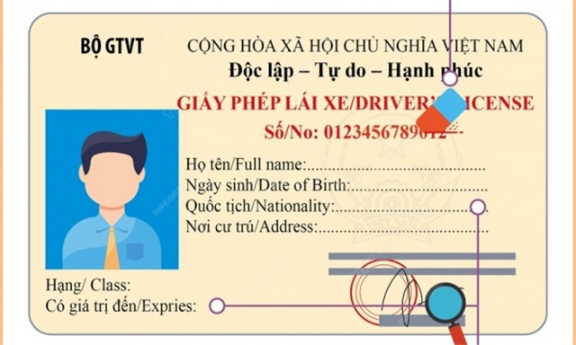 6 trường hợp bị thu hồi giấy phép lái xe từ 1/6