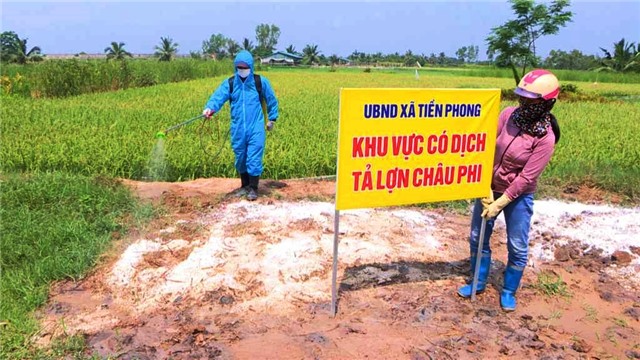 Không để dịch tả lợn châu Phi lây lan rộng