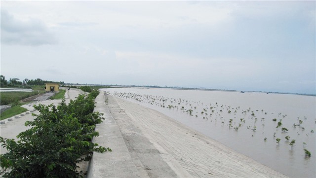 Nâng cấp công trình phòng chống thiên tai