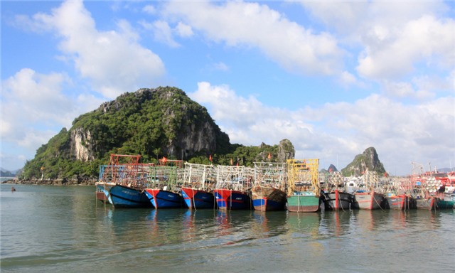 Kiên quyết ngăn chặn các hành vi khai thác thủy sản IUU