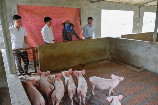 Ứng phó dịch bệnh trên cây trồng, vật nuôi