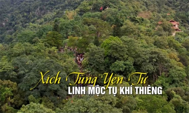 Xích Tùng Yên Tử - Linh mộc tụ khí thiêng