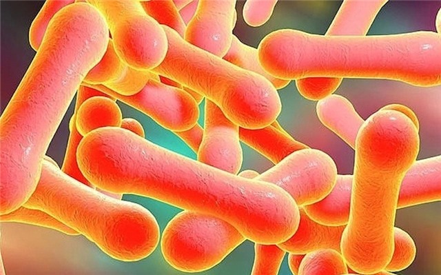 KHẨN trương phòng, chống BỆNH BẠCH HẦU, không để lây lan kéo dài trên diện rộng