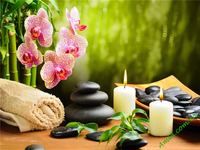 Tăng cường công tác quản lý đối với các cơ sở kinh doanh dịch vụ Spa, thẩm mỹ trên địa bàn