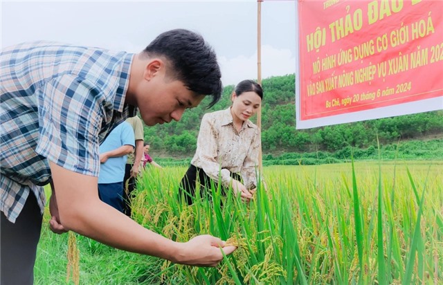 Thêm trợ lực cho đồng bào dân tộc thiểu số phát triển sản xuất