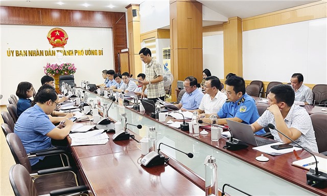 Thanh tra tỉnh làm việc với thành phố