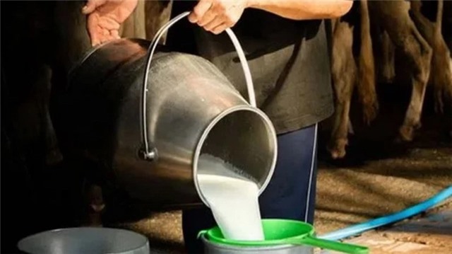 7 người tử vong do sữa nhiễm độc tại Pakistan