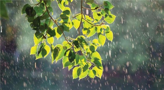 TIN DỰ BÁO MƯA LỚN Ở KHU VỰC TÂY BẮC VÀ VIỆT BẮC VÀ QUẢNG NINH