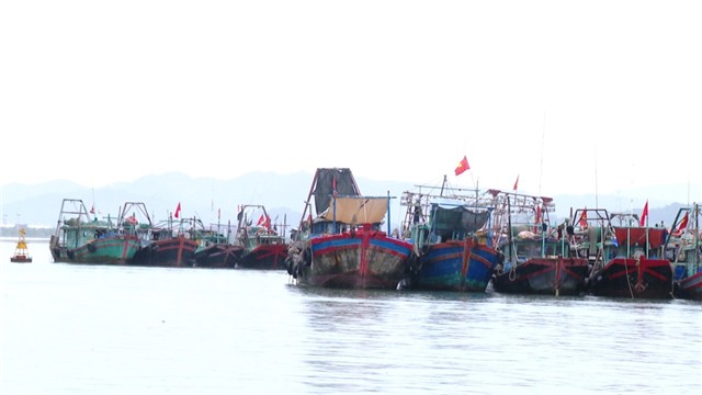 Mạnh tay với vi phạm về IUU