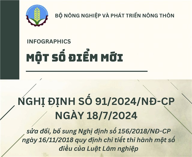 Một số điểm mới Nghị định số 91/2024/NĐ-CP ngày 18/7/2027 sửa đổi, bổ sung Nghị định số 156/2018/NĐ-CP ngày 16/11/2018 quy định chi tiết thi hành một số điều của Luật Lâm nghiệp