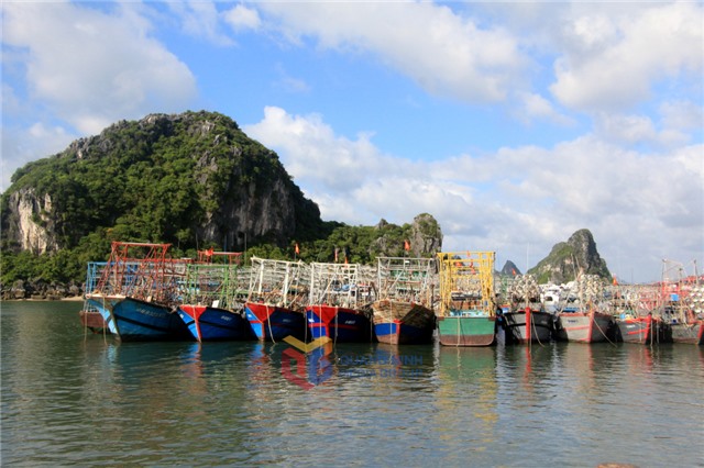 Quảng Ninh chủ động ứng phó bão YAGI