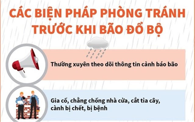 Các biện pháp phòng tránh trước khi bão đổ bộ