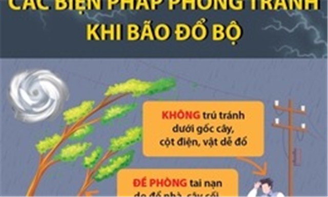 Các biện pháp phòng tránh khi bão đổ bộ