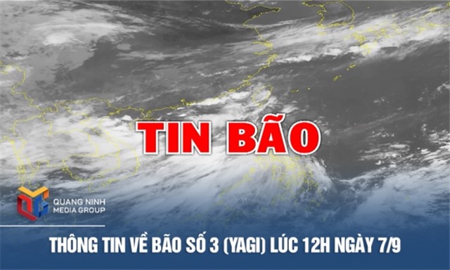 Thông tin về Bão số 3 (Yagi) lúc 12h ngày 7/9