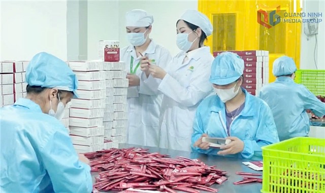 Cộng đồng doanh nhân trẻ Quảng Ninh bản lĩnh tạo đột phá