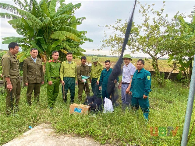  Ra quân kiểm tra, xử lý hành vi bẫy bắt chim hoang dã