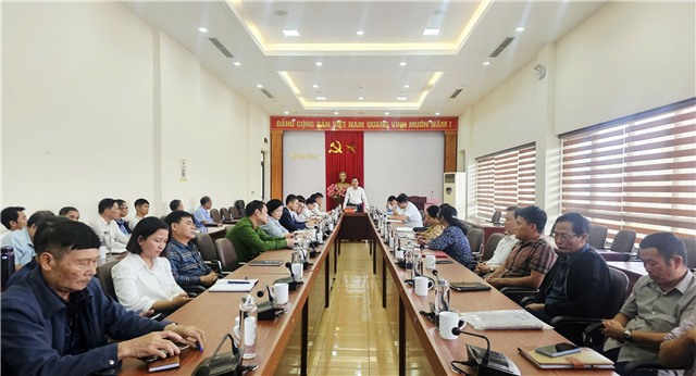 UBND tỉnh quán triệt, triển khai kế hoạch nâng cao chất lượng đô thị, khu dân cư