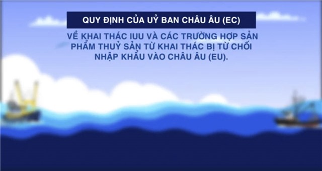 QUY ĐỊNH CỦA CHÂU ÂU (EC) VỀ KHAI THÁC IUU VÀ CÁC TRƯỜNG HỢP SẢN PHẨM THỦY SẢN TỪ KHAI THÁC BỊ TỪ CHỐI NHẬP KHẨU VÀO CHÂU ÂU (EU)