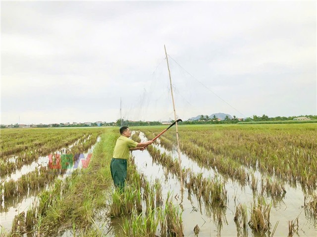 Phường Uông Bí triển khai đồng bộ giải pháp ngăn chặn vi phạm về động vật hoang dã và nguồn lợi thuỷ sản