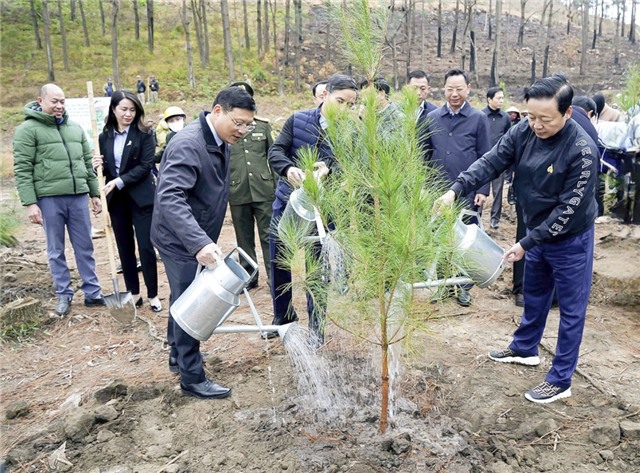 Lan toả khí thế phủ xanh rừng