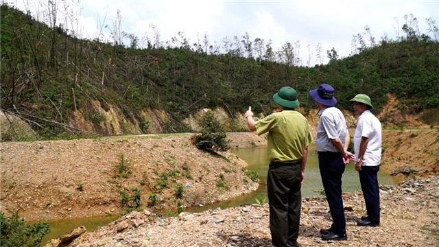 “Trong tháng 2/2025 các đơn vị, chủ rừng nộp hồ sơ đề nghị thanh lý rừng trồng bị thiệt hại do bão Yagi”