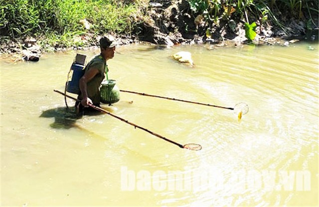 Ngăn chặn việc khai thác thủy sản mang tính hủy diệt 