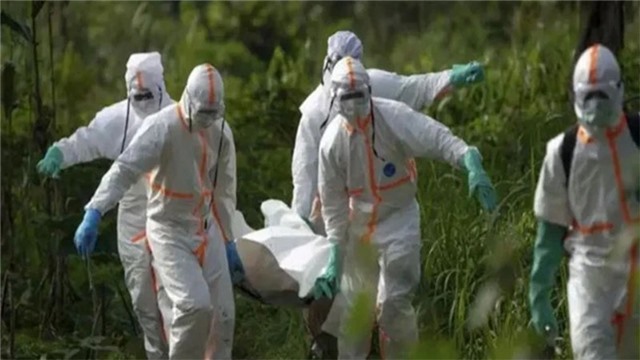 Báo động bệnh lạ giết chết hơn 50 người tại Cộng hòa Dân chủ Congo