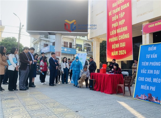 Chủ động phòng ngừa bệnh dại