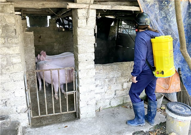 Thành phố Uông Bí triển khai tháng vệ sinh, khử trùng tiêu độc môi trường