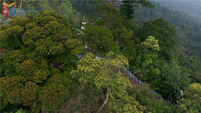 Kho báu đa dạng sinh học