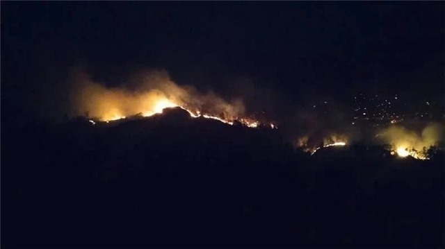 Tập trung khắc phục hậu quả do cháy rừng tại Quảng Ninh