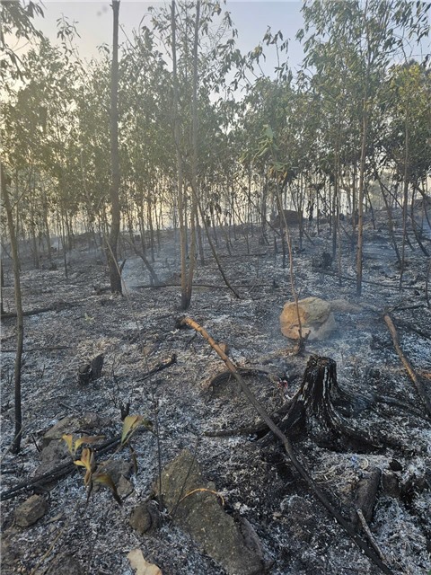Uông Bí - Các vụ cháy thực bì tại khu 5A, phường Quang Trung đã được khống chế