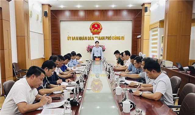 Họp triển khai chỉ thị 03/CT-UBND của Chủ tịch UBND tỉnh về việc "Tăng cường công tác quản lý, bảo vệ rừng và phòng cháy chữa cháy rừng trên địa bàn tỉnh Quảng Ninh"