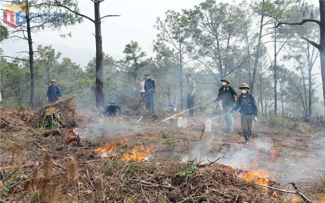 Kích hoạt “lá chắn xanh” ở cơ sở