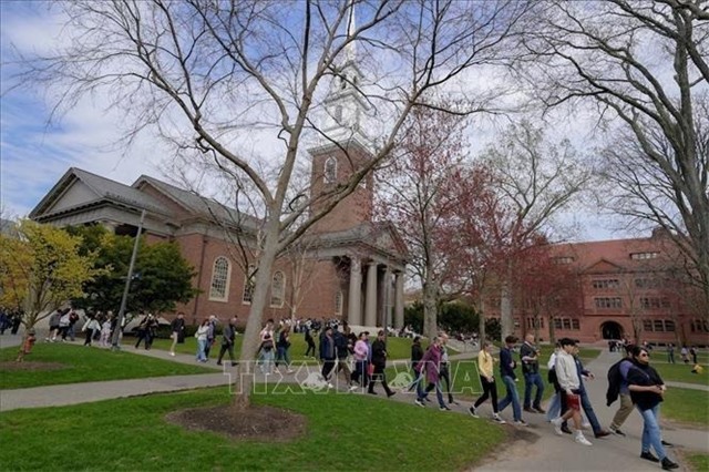 Du học sinh tại Mỹ sống trong nỗi lo bị tước thị thực và trục xuất không rõ lý do