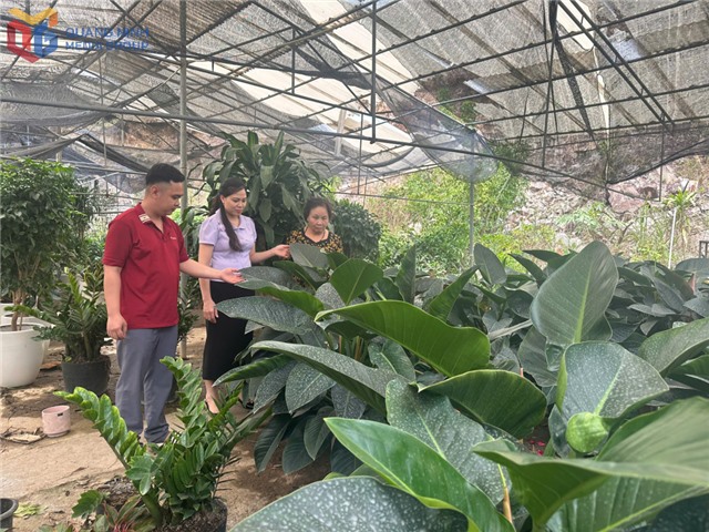 Phát huy hiệu quả của các tổ tiết kiệm và vay vốn