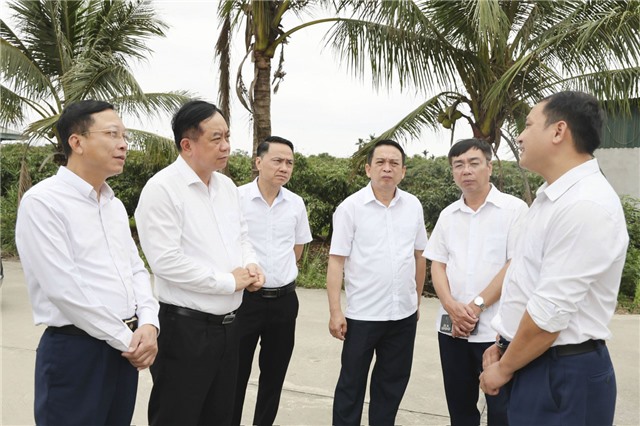 Thường trực Thành uỷ khảo sát thực địa vùng vải chín sớm Phương Nam