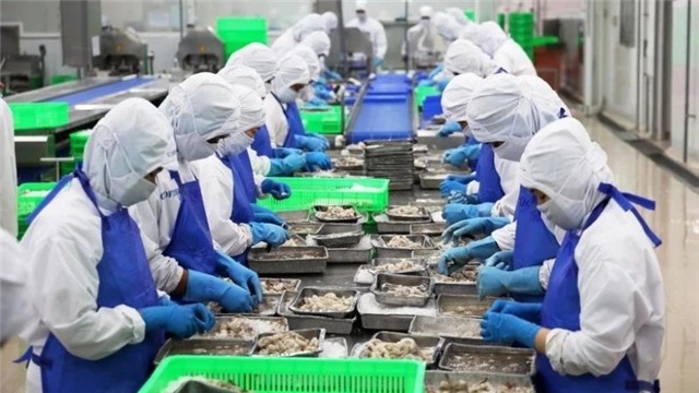 Việt Nam lọt top 4 đối tác lớn nhất xuất khẩu thủy sản vào Singapore