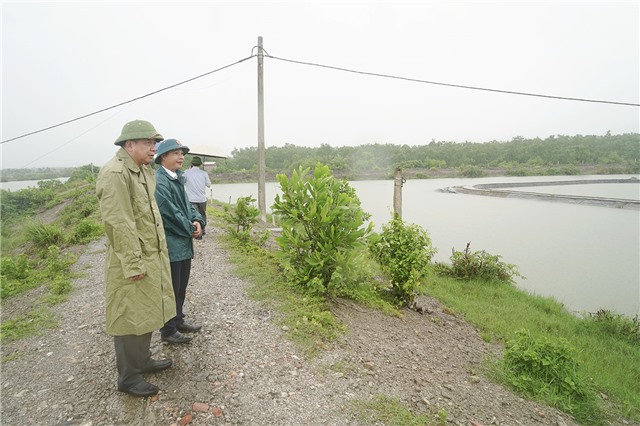 Thành phố Uông Bí đánh giá hiện trạng hệ thống đê điều, xác định các trọng điểm xung yếu và đề xuất phương án hộ đê năm 2025