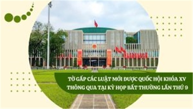(Tờ gấp) 08 tờ gấp phổ biến các Luật mới được Quốc hội khóa XV thông qua tại kỳ họp bất thường lần thứ 9